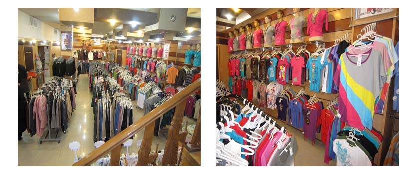 Css Template Preview